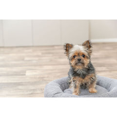 V2HEC7709C8C07B6D06BDAFFB08B5B0BBEER7639884P9