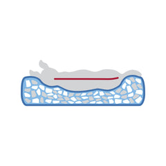 V2H4AB9DCA40E113A7BE539BB6862256568R7538803P8