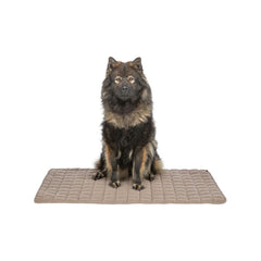 V3HDCAEF9CCF2EF64A792DE7D7DF731CE6ER7463651P7