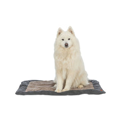 V2H1A13EE4D868C1EA0C99AABB119FF48BBR7518986P3