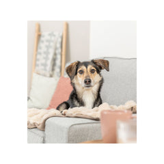 V4H201FC9E402785D946AC8F91603C0C3A5R7449457P3