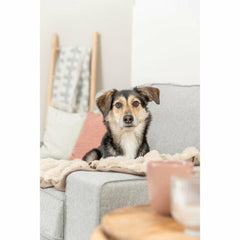 V3H71A58A47DA96D0433A9F5789F1845AA5R7449458P4