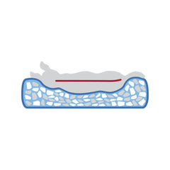 V2HA7B831B25C7A0DDC7AF7ECF583FBFA48R7426409P7