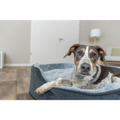 V2H6290C1518CE1D7BE8327828FE52B4861R7472352P7