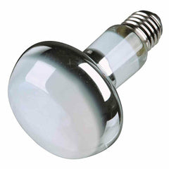 V6H5ACE24BEE09F73F63CC5DD486E94887AR7444770P2