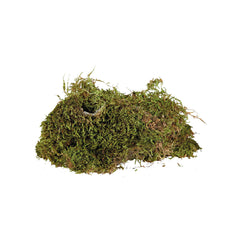 V6H16B644034CA8F3837E2C57208971F19AR7446502P5