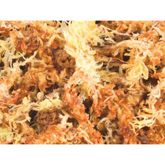 V5HCC3ACC4B7B736CC267644E25706B97B1R7446455P3