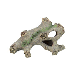 V6H518E511723C5CFB72DE44332097E063DR7455725P3