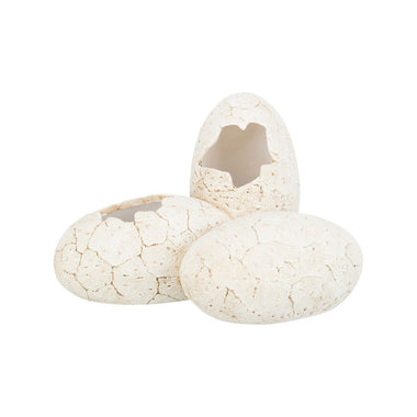 V8H4D3F43D36BFE589FA53012F57CA7793AR7455824P1