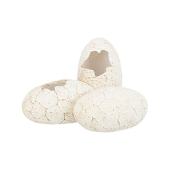 V8H4D3F43D36BFE589FA53012F57CA7793AR7455824P1