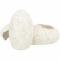 V6H9C982F4937C1411E4777FA6652E084B0R7455830P4