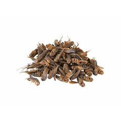 V5H443A0578E27CAF2CA7608F3F47957E0AR7447064P3