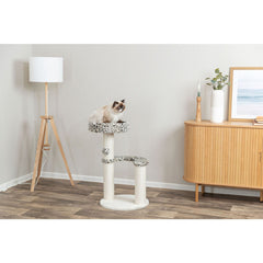 V2H58CD619B2CD590086F33B958015B800CR7428853P5