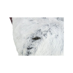 V3H54FE19FEC1A92B231EBF29CD2309037DR7565661P3