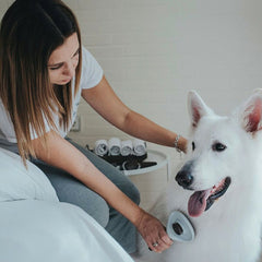 V8HB999B022ED9FAA808970463E0AA98B2DR3618719P6