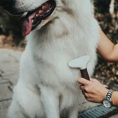 V11H31D66352C141FC1F9122397DAD867011R2351998P3