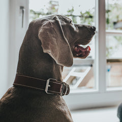 V8H24F628AE1CC76376A9D53A9F92048E2DR1561426P3