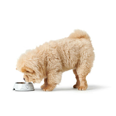 V5H9EB8BD6B0FD1603B82118260F3303332R5574398P2