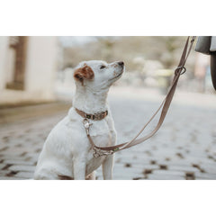 V5H082ACD1EDA7ADAC26BDA766CA51582BDR5582608P4