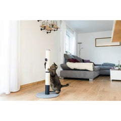 V3H9B1FC00B2AB9F081C486A85085AE6D77R5763411P4