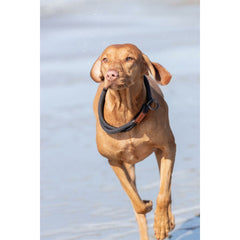 V5H85D7A35EF5E3BDCE917320A56E3D57D8R5330169P10