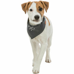 V4HC3D0ADC0C374CC8BECF21A1E05A93DC6R7453694P8