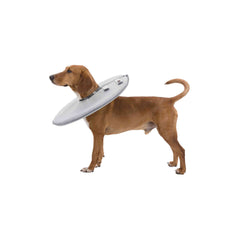 V5H6A6B8D48466F8B72151A774BEAB05142R7440217P4