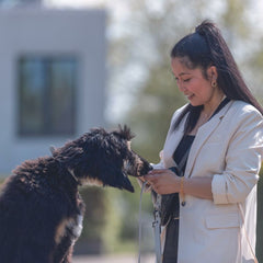 V5H23A8D68EC979CFCCE80CC2063E4545E5R5330439P6