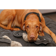 V5H001B47C4443F5736F4F7C6D2DF67B019R5330763P4