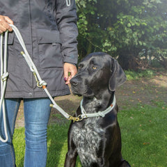 V5H158A4EB2C58286FF9F5DEDC800F896A3R5330836P4