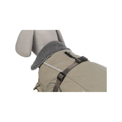 V5HBAD0A4C3B4D29E0909DDDAF2AD8C6FEBR7448462P7