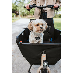 V3HDED6759B173CA3D632816A5DB18B5044R5575618P7