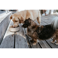 V5H6B9CB4D6A9CDBFB11F684FD5922027B4R5587764P3