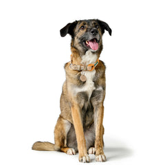 V3HA0738E7F14F181368C6B67514A894858R5575462P3