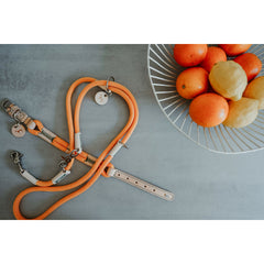 V5H39D350DE167CD09BC24D54A412D0CFB2R5575495P7