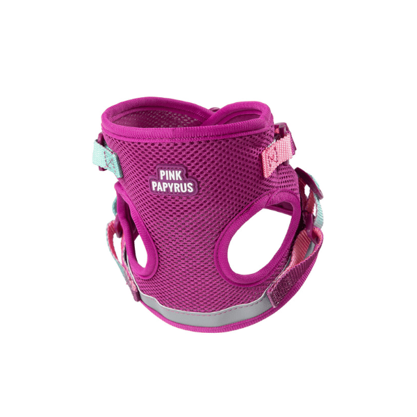 Joana cat harness and leash set — additional photo 2