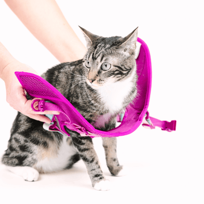 Joana cat harness and leash set — additional photo 5