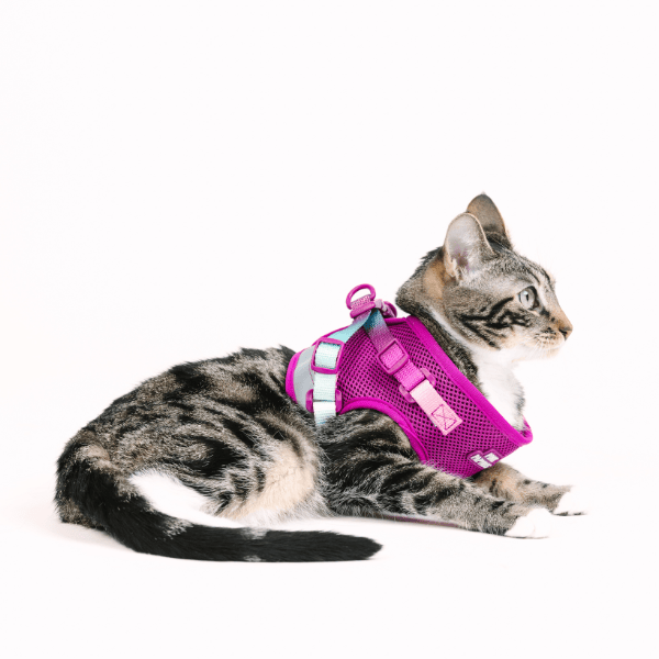 Joana cat harness and leash set — additional photo 6