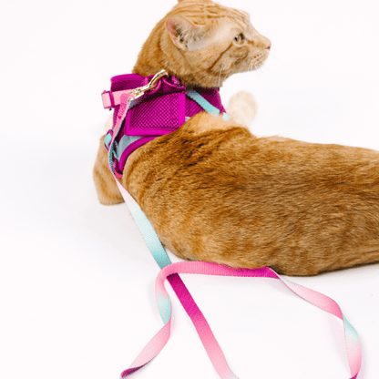 Joana cat harness and leash set — additional photo 8