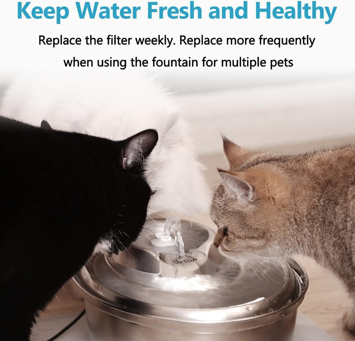 Cat Water Fountain Replacement Filters
