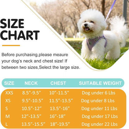 Step-In No-Pull Dog Harness and Leash Set for Small Dogs