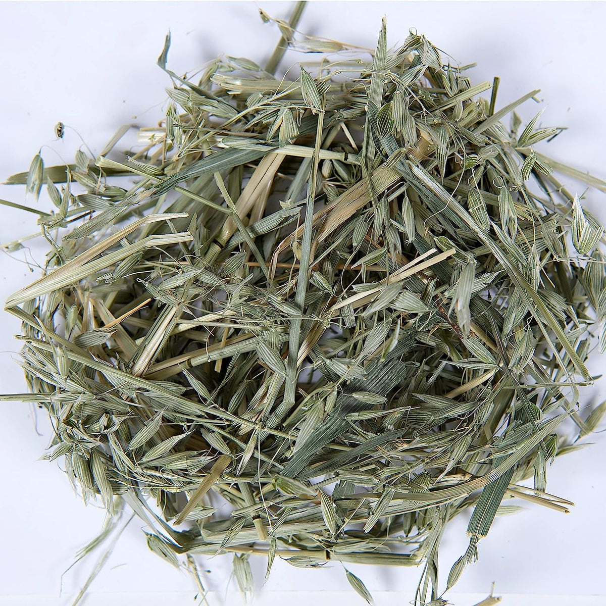 Oat Hay for Rabbits and Guinea Pigs, 20 lb