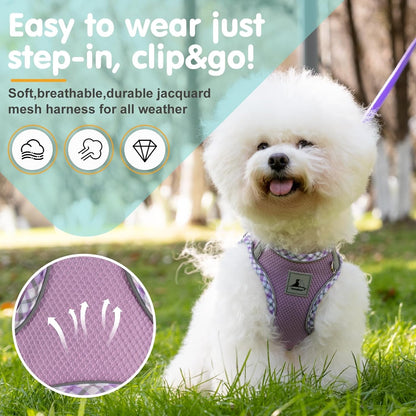 Step-In No-Pull Dog Harness and Leash Set for Small Dogs