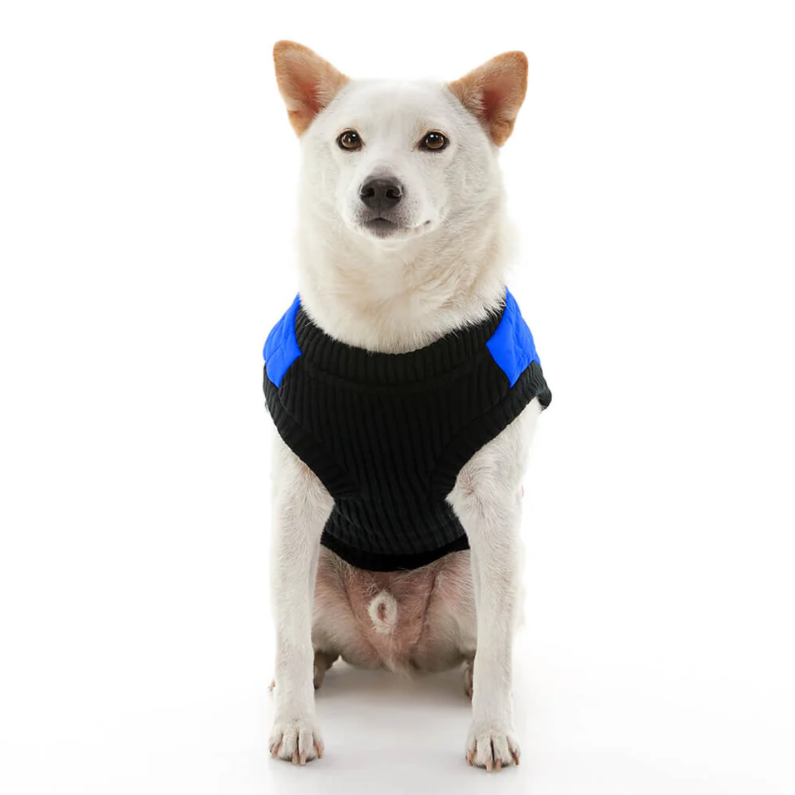 Blue quilted step-in bomber vest for dogs - view 3