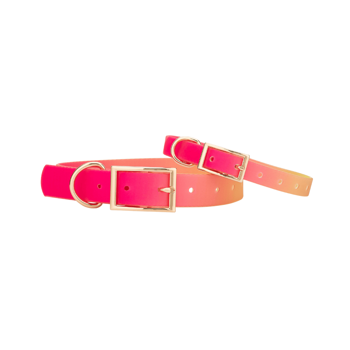 Katelin – Ombre Dog Collar, Adjustable XS–L