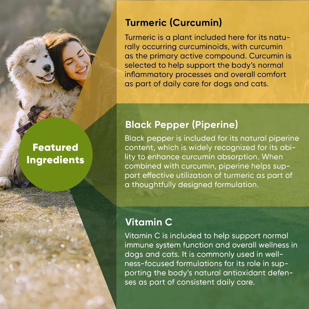 Turmeric, Black Pepper & Vitamin C Supplement