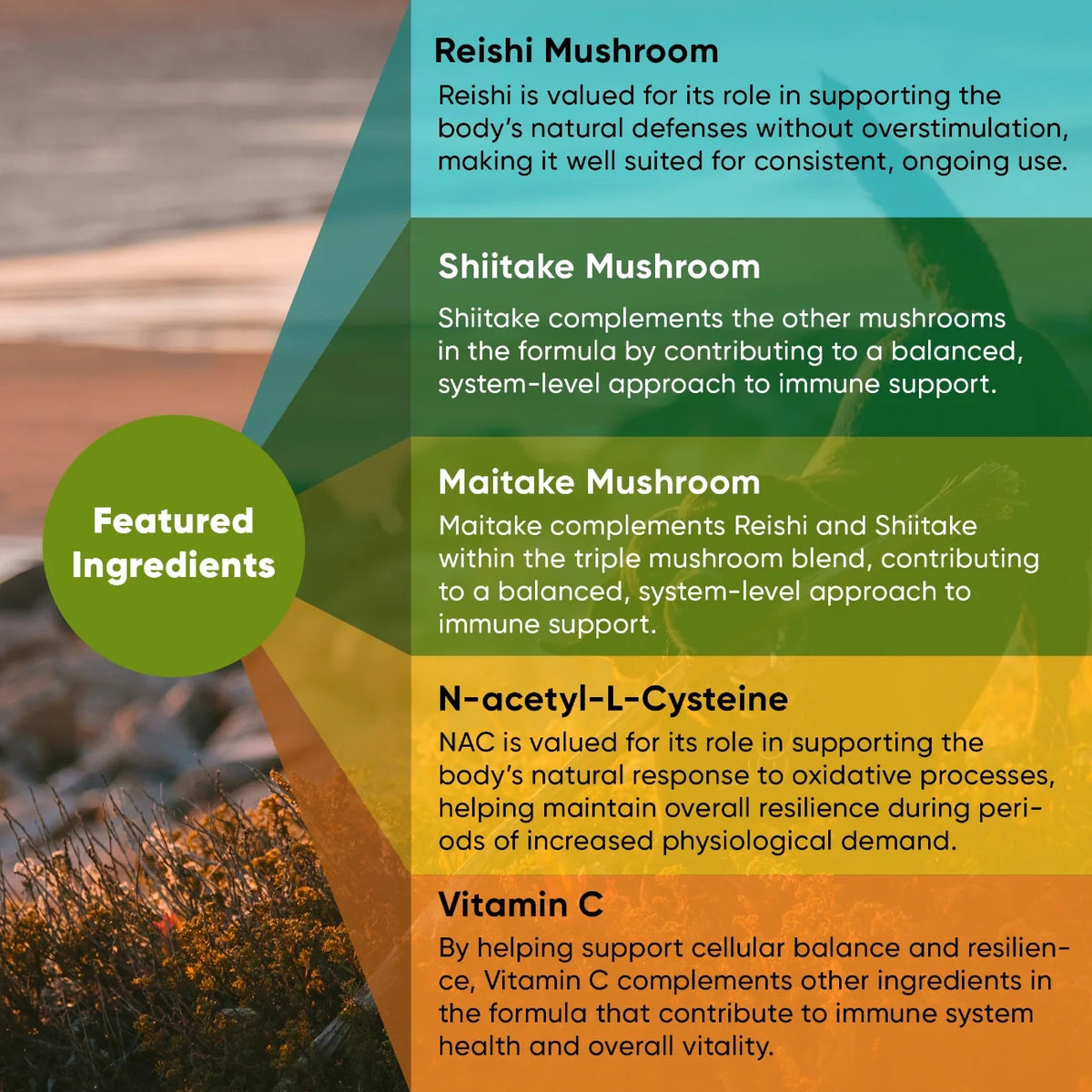 Reishi, Shiitake & Maitake Mushroom Supplement