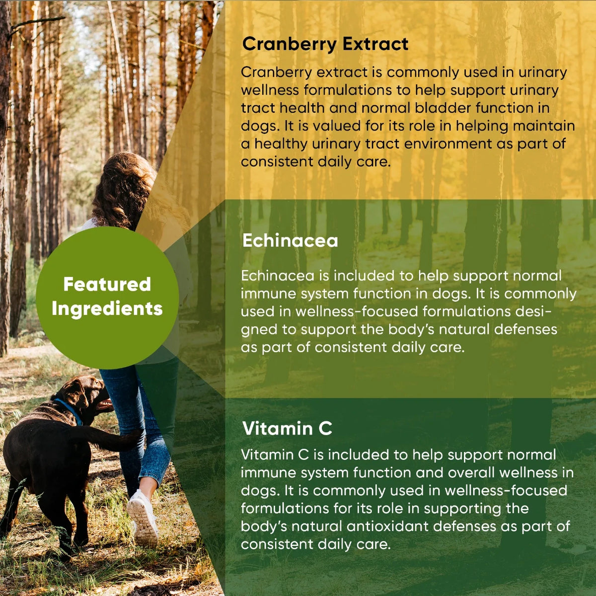 Cranberry, Echinacea & Vitamin C Supplement for Dogs