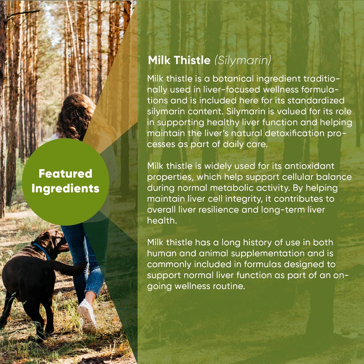 Milk Thistle Extract Supplement for Dogs
