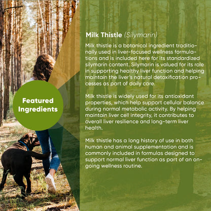Milk Thistle Extract Supplement for Dogs
